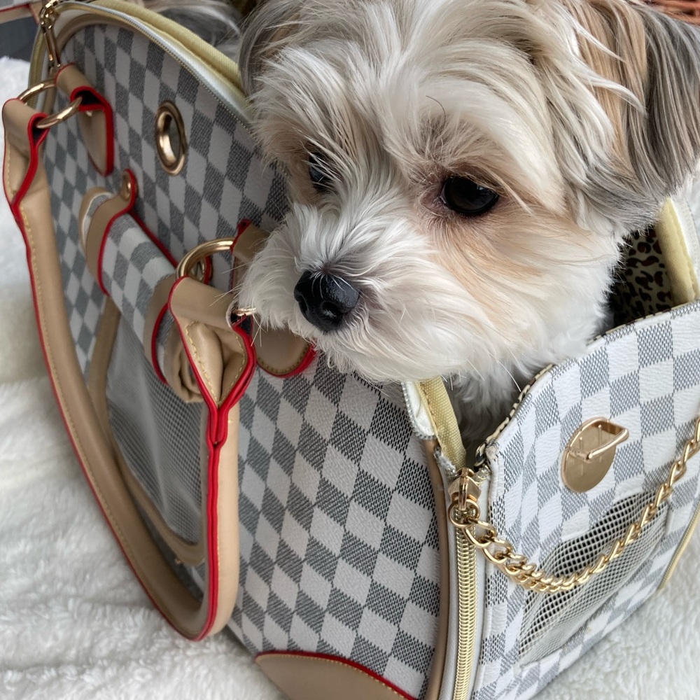 Dog/ cat carrier